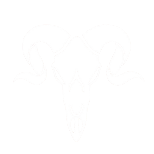 Digital Marketing Agency In Ahmedabad